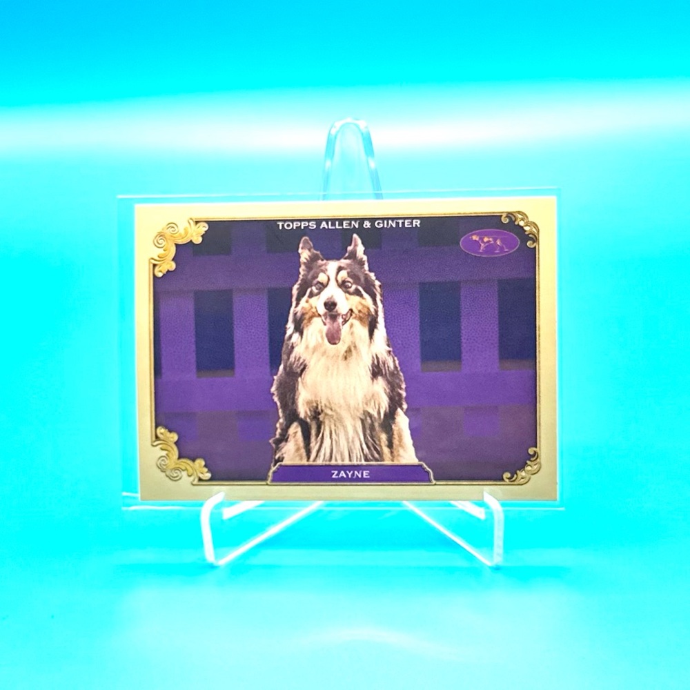 2024 Topps Allen & Ginter Westminster Kennel Club 🔥ZAYNE🔥 #SOS-33